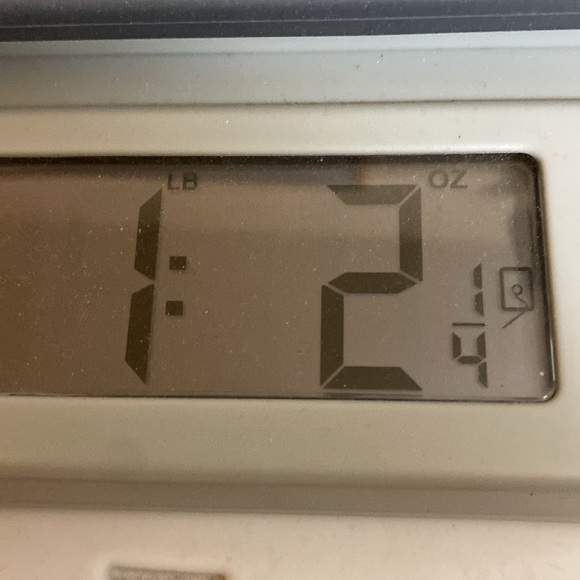 Christopher & Banks Bermuda crop capris cotton spandex stretch off white… - Picture 10 of 10